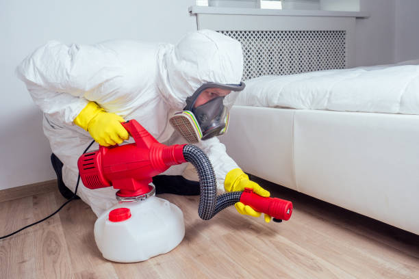 Flea Control Services in Madisonville, KY