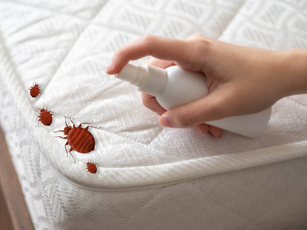 Best Pest Control for Homes  in Madisonville, KY