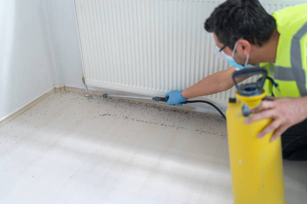 Best Emergency Pest Control  in Madisonville, KY